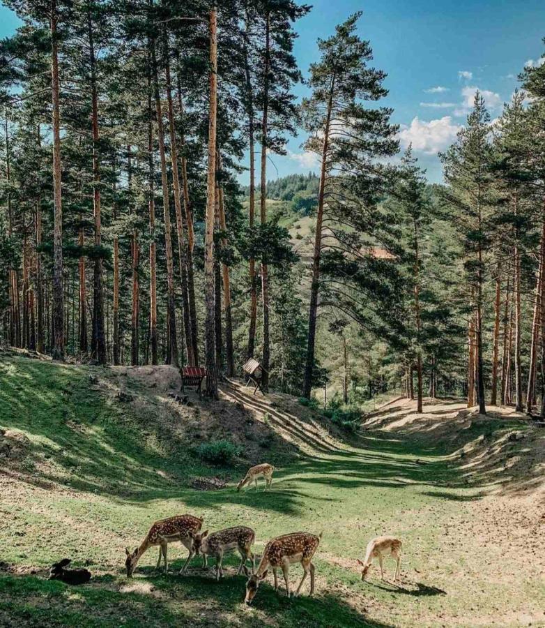 Aurora Resort & Spa Berovo Eksteriør billede