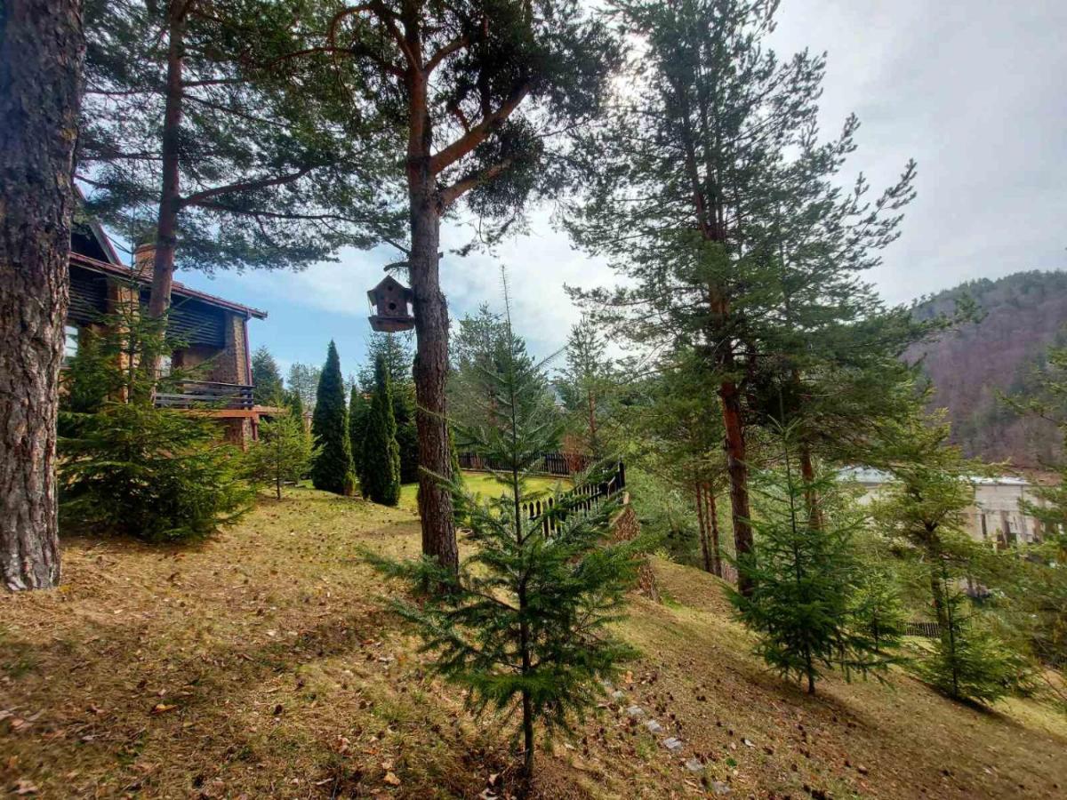 Aurora Resort & Spa Berovo Eksteriør billede